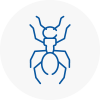 Ant Removals In Newton Aycliffe