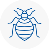 Bed Bug Extermination In Newton Aycliffe