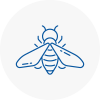 Bee Nest Removal Newton Aycliffe