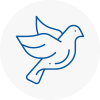 Bird Prevention Newton Aycliffe