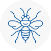 Newton Aycliffe Hornet Nest Removals