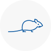 Mice Exterminators In Newton Aycliffe