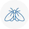 Moth Control Specialists In Newton Aycliffe