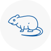 Rat Control Newton Aycliffe