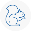 Newton Aycliffe Rodent Removals